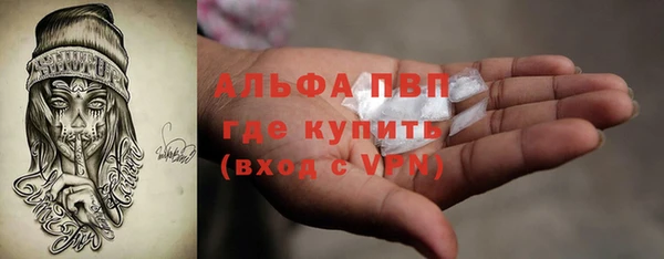 PSILOCYBIN Осташков