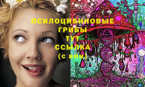 jwh Осинники