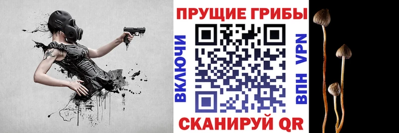 где продают наркотики  Чехов  Галлюциногенные грибы GOLDEN TEACHER 